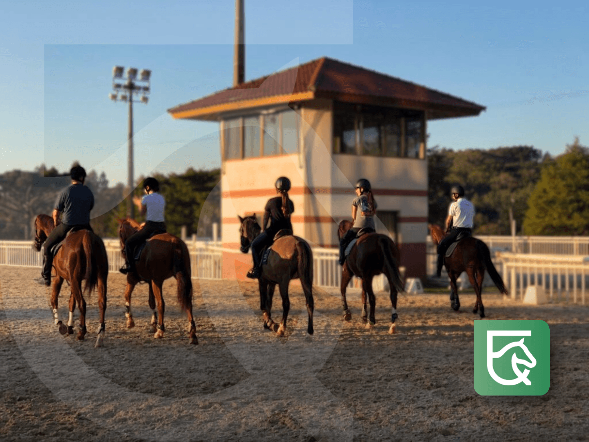 Dashboard do Equites mostrando gestão de cavalos e agenda de aulas